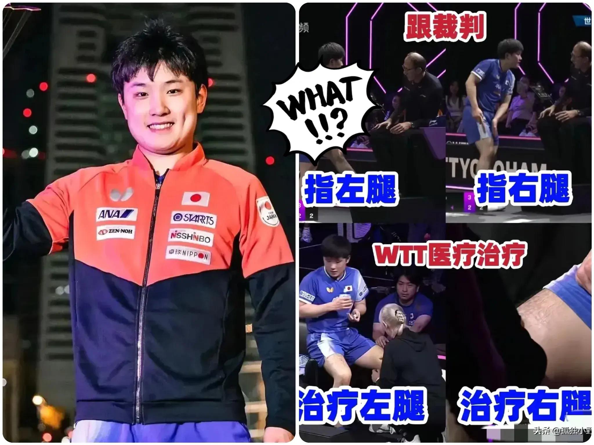 开云体育登录-瑞典队横扫日本队，张本智和高光表现