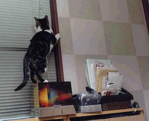 开云APP-NBA季后赛之夜，欧文神级表演引爆赛场，赛后评分拉满致敬传奇