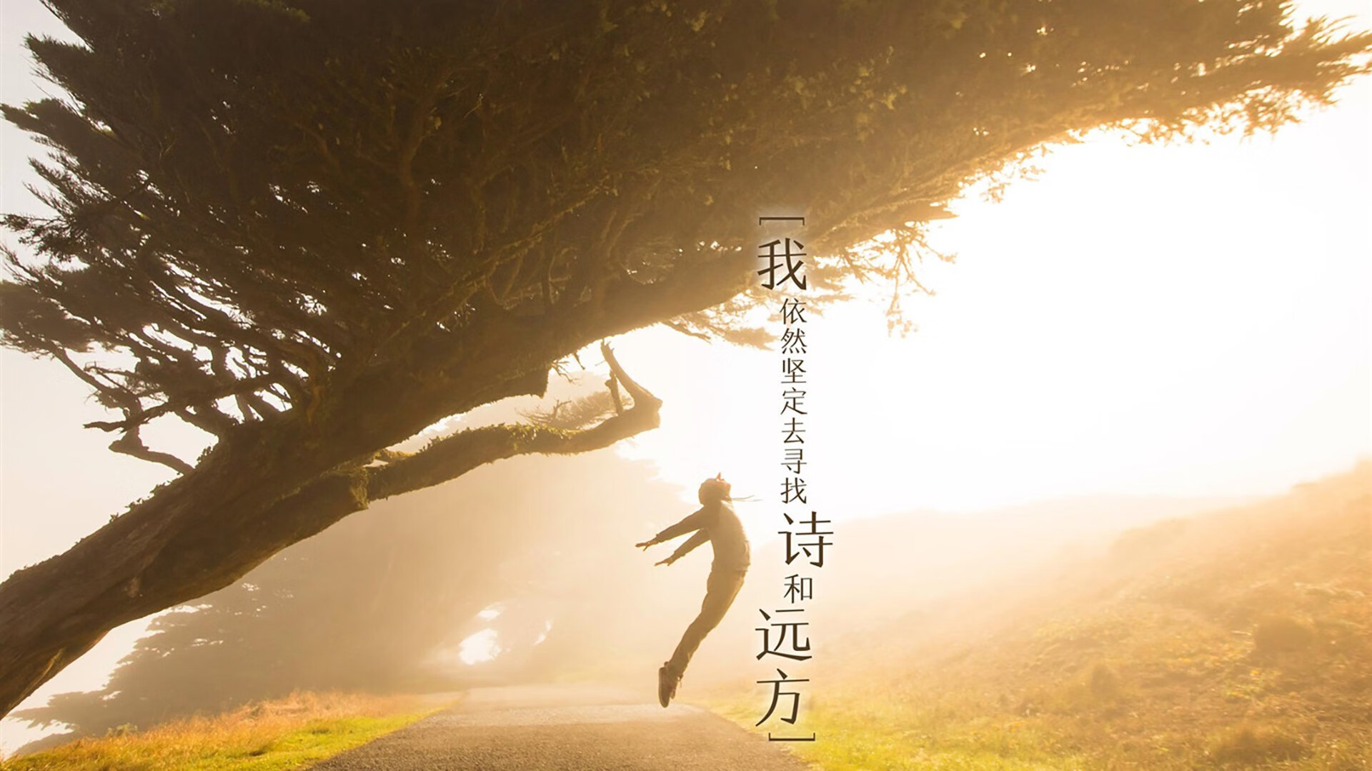 开云体育-铁血蓝黑锁死真蓝黑，意甲焦点战国米3-0完胜亚特兰大