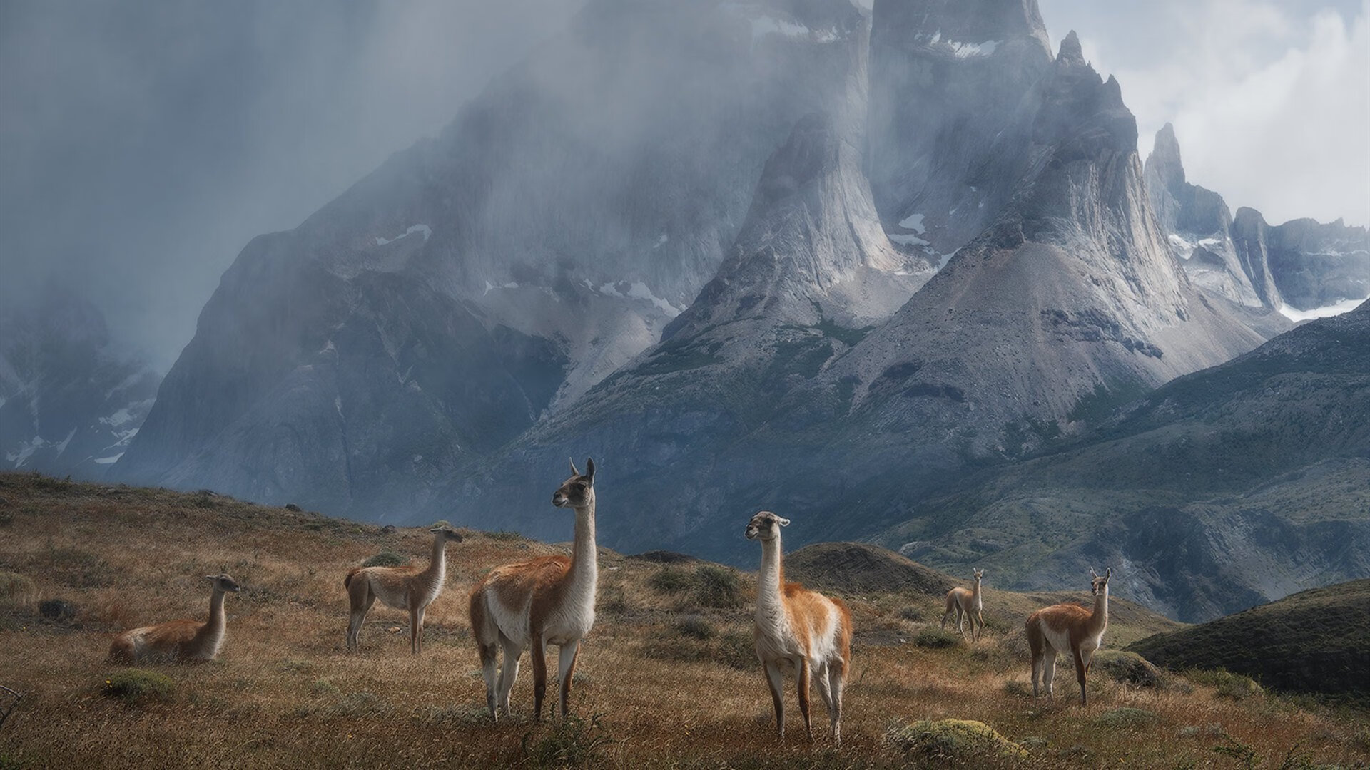 开云体育中国-胜负在毫厘之间，范戴克用一场大师级防守秀诠释何为优雅铁闸