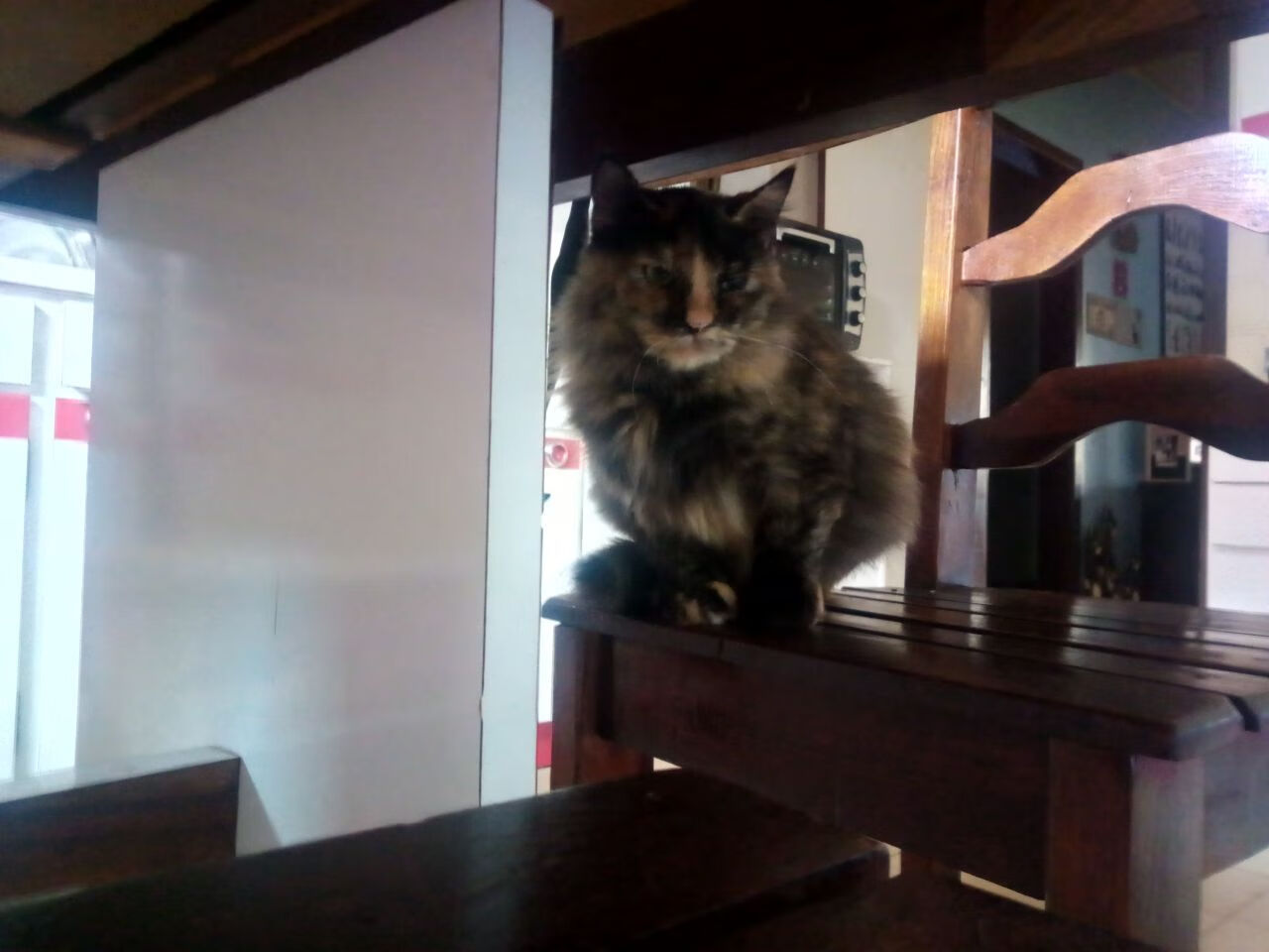 恩佐改写命运,一节疾风骤雨,加拿大击碎哥伦比亚神话