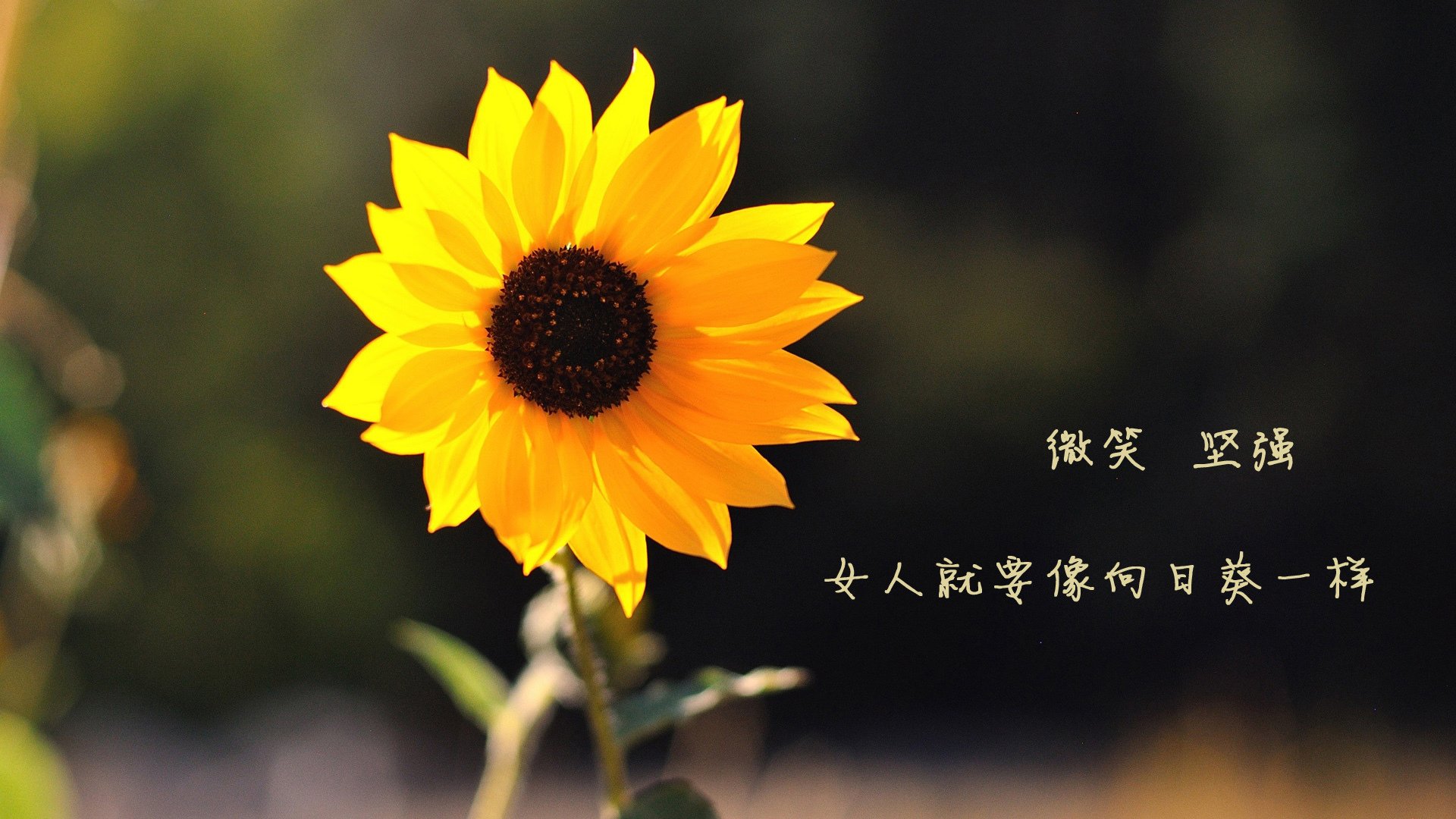 爆发与打穿,当库尔图瓦筑起高墙,比利亚雷亚尔刺穿北欧童话