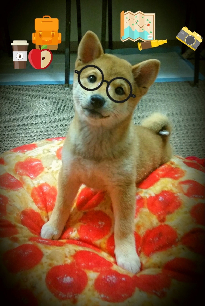 富安健洋铸就后防铁幕，喀麦隆铁血逆转震撼比利亚雷亚尔