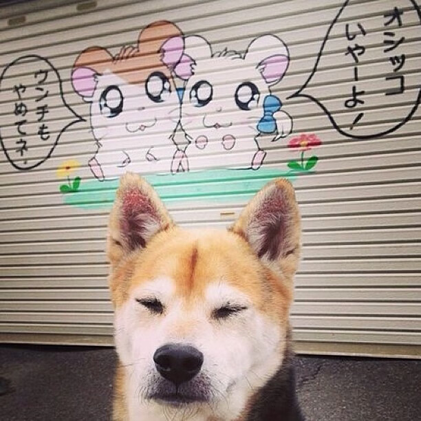 开云体育官网-新英雄纪元的草莽宣言，当非典型接管比赛