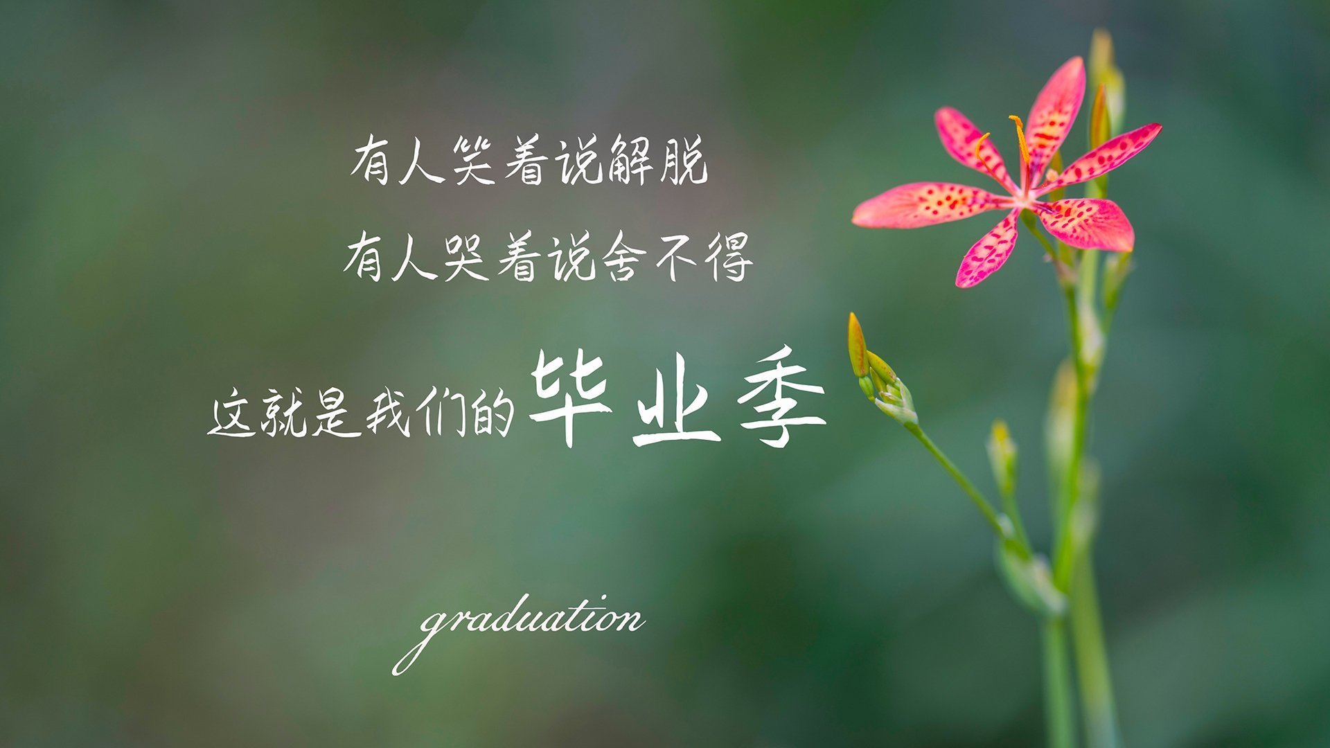 格列兹曼终结法国,维罗德隆之夜,一场颠覆国家足球神话的地方起义