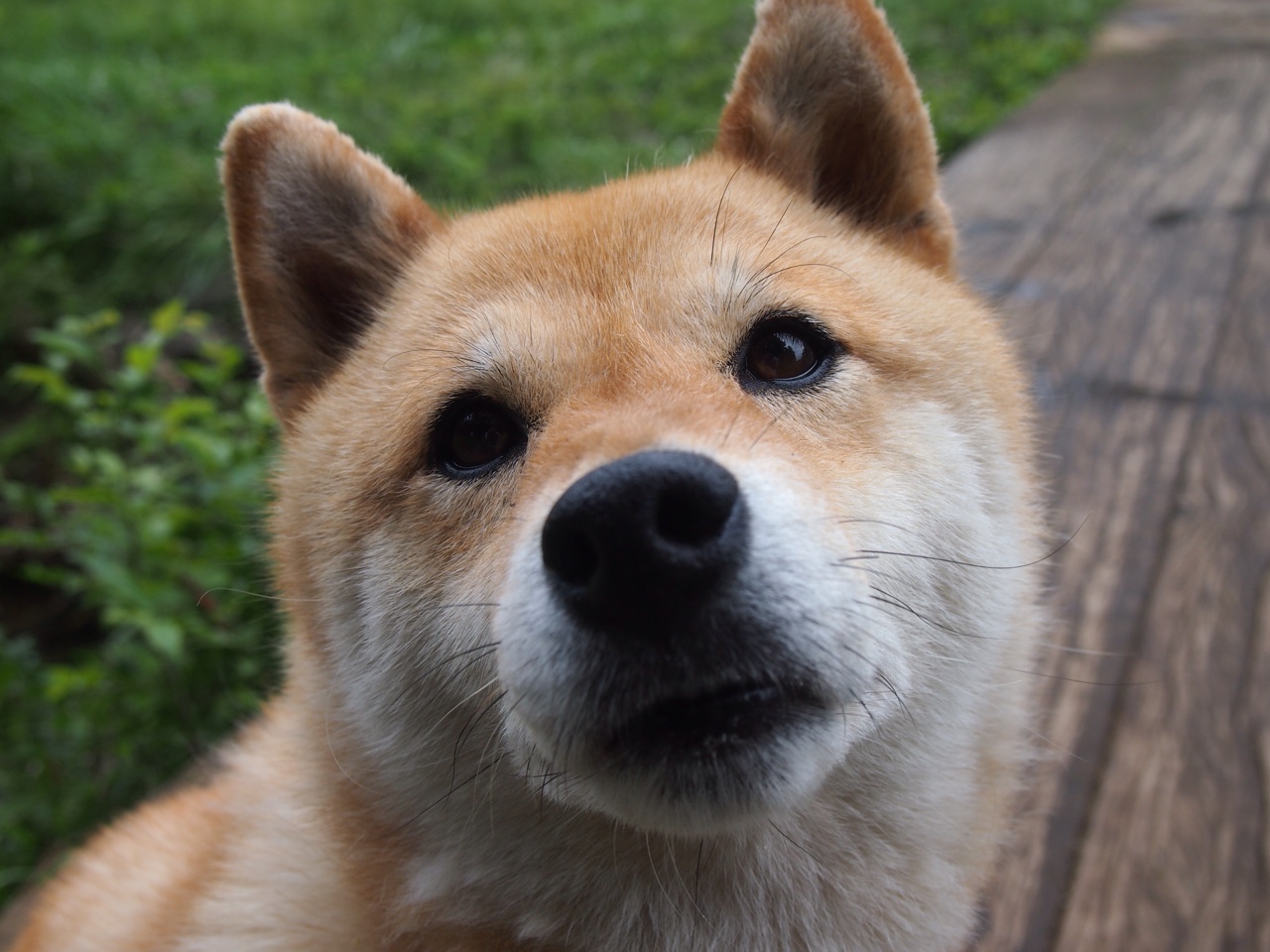 开云体育平台APP-奥纳纳爆发显神威，玻利维亚鏖战毕尔巴鄂