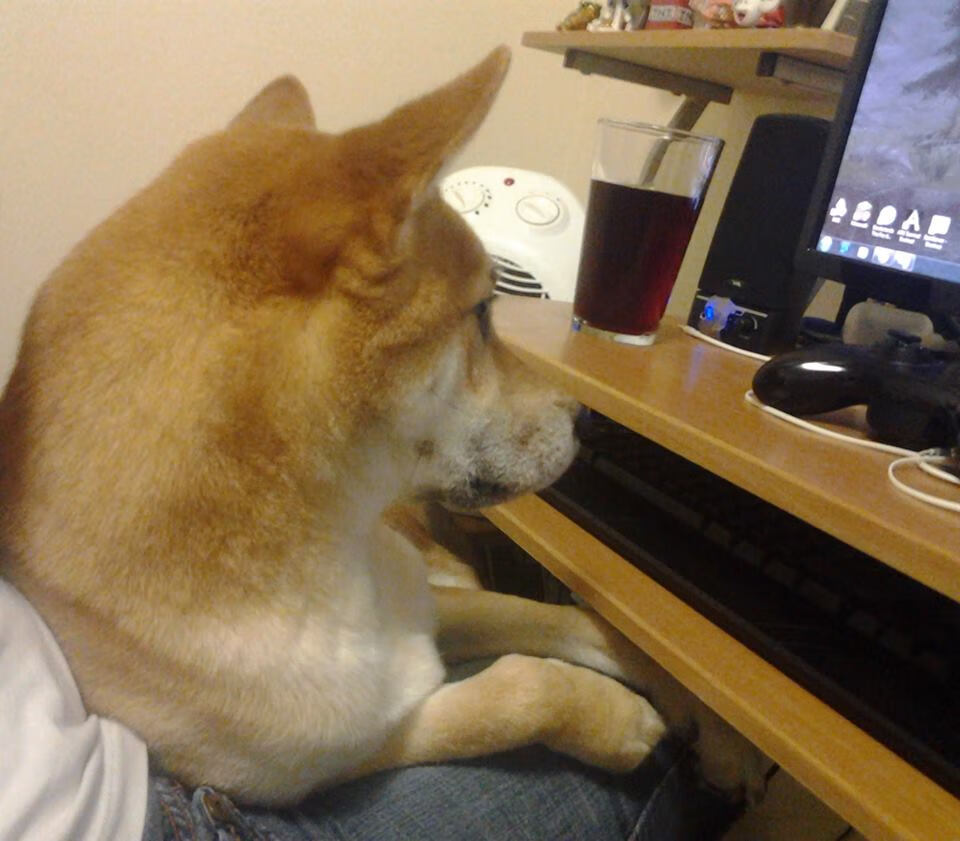 开云官网-篮网制霸湖人，恩比德在年度焦点之战接管比赛