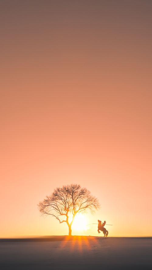 2026世界杯之夜，格列兹曼刷新传奇纪录