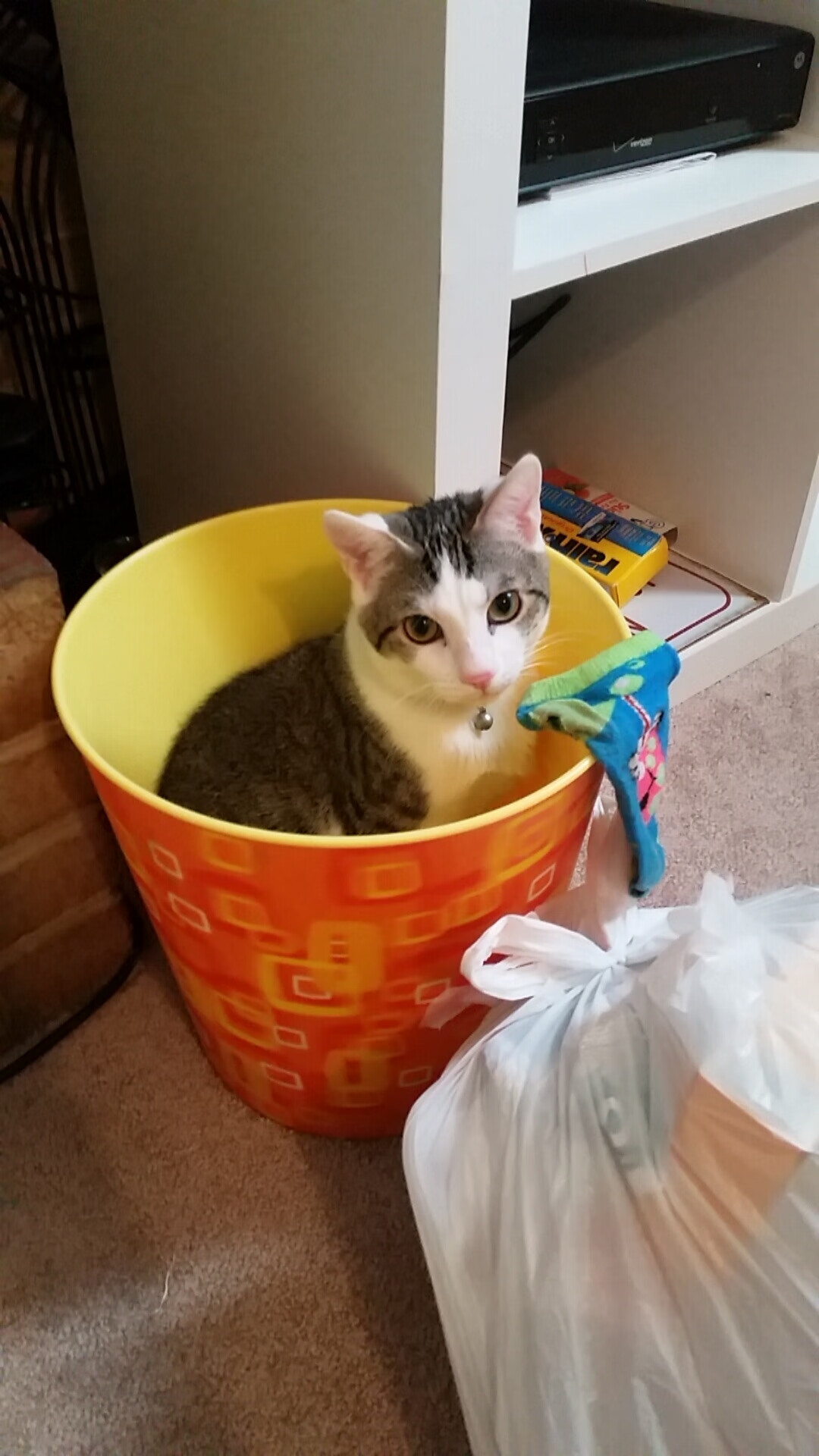 开云体育入口-浓眉擎天难阻万箭齐发 辽宁苦战遭火箭逆转