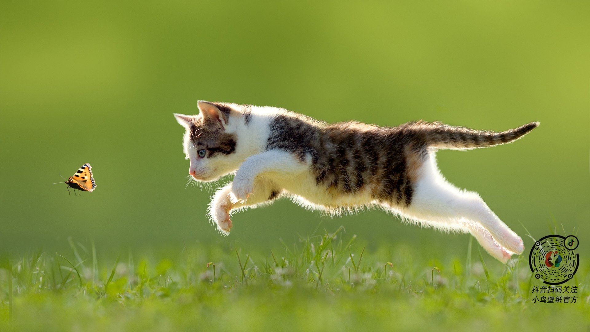 开云体育APP下载-骑士踏平雷霆，当杜兰特在巴林弯道死神降临