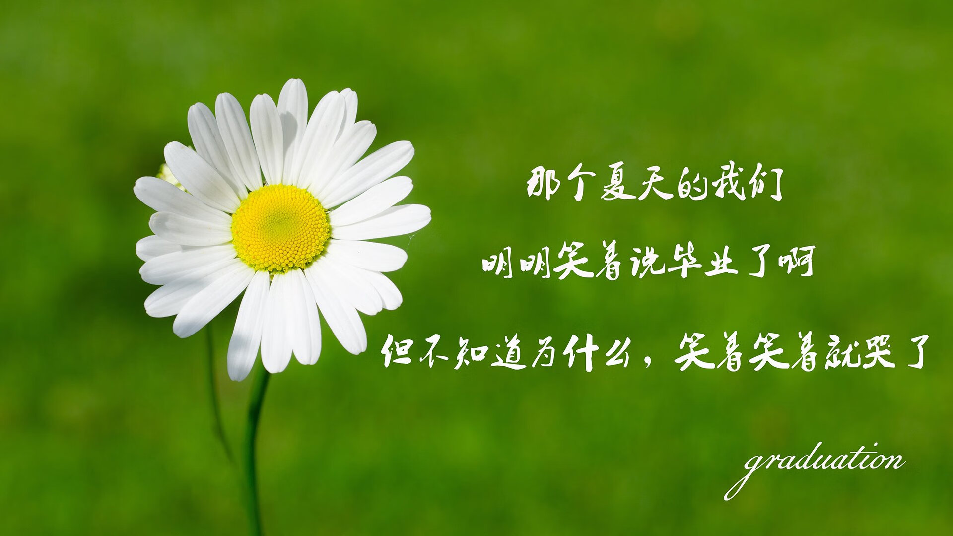 开云体育APP下载-绿茵绝唱，2026，葡萄牙逆转德国，亚洲之光孙兴慜点亮世界之巅